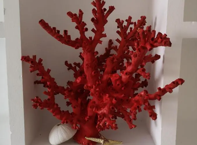 Atlantico Family By Cadiz4rentals